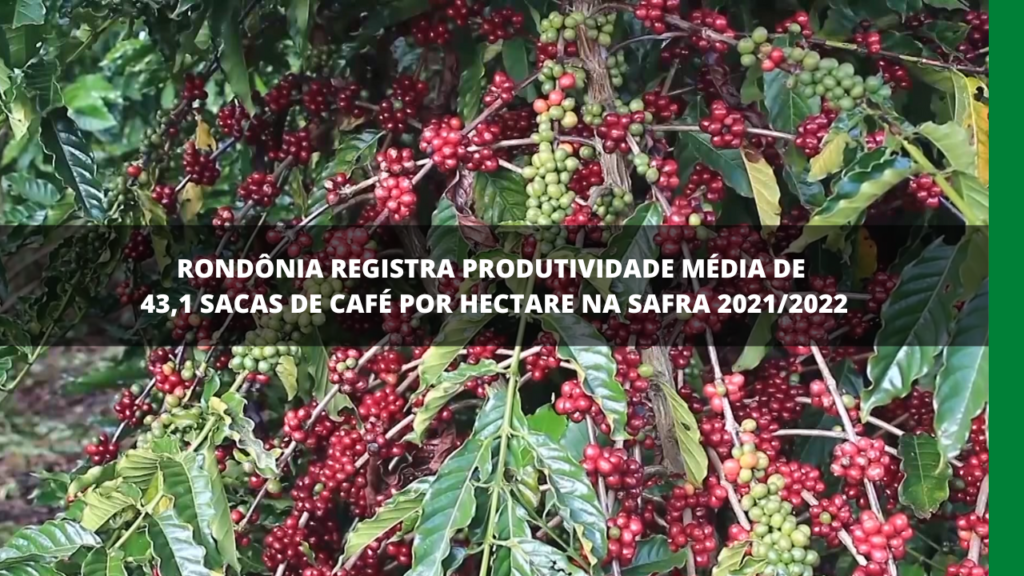 Rondônia em alta produtividade