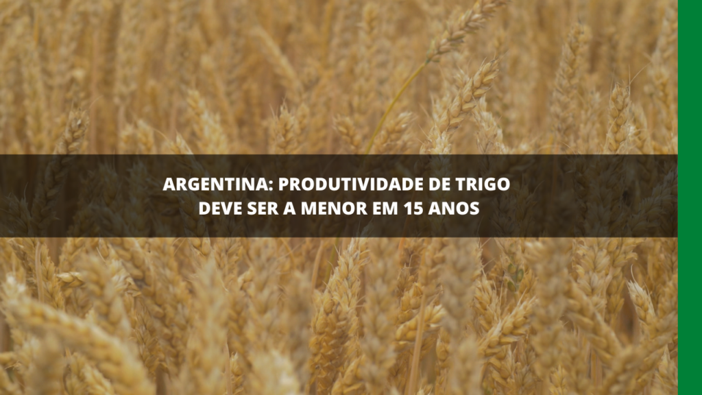 Produção de trigo na Argentina