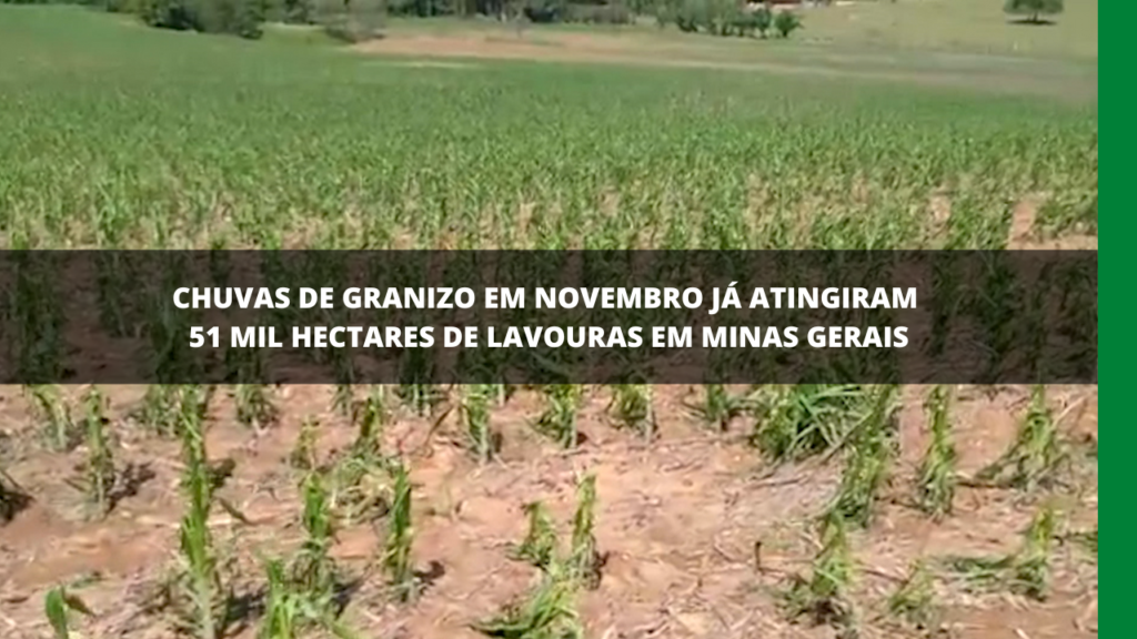 Chuva de granizo em Minas