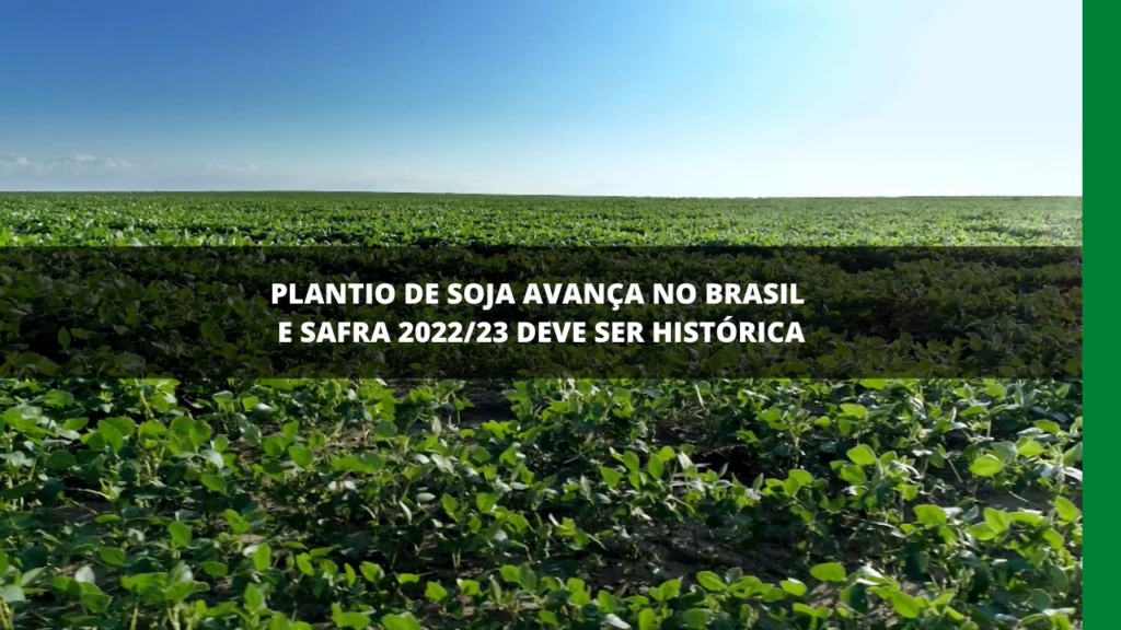 Plantio de soja no Brasil