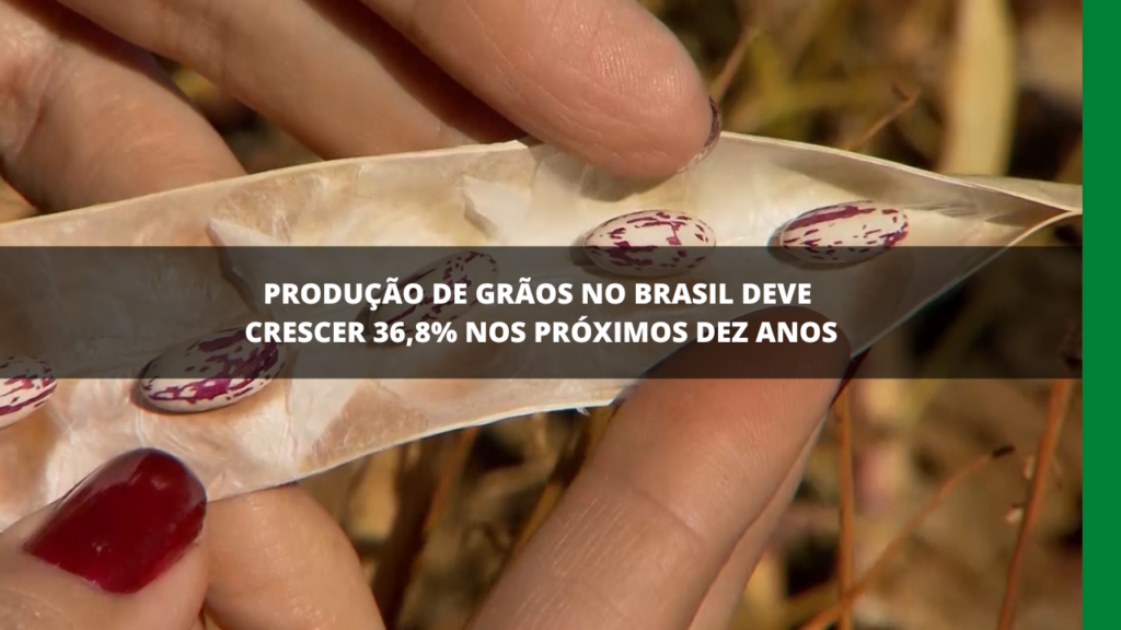 PRODUÇÃO DE GRÃOS NO BRASIL