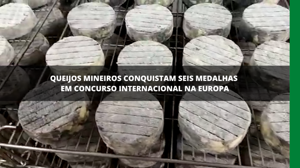 Queijos mineiros são premiados