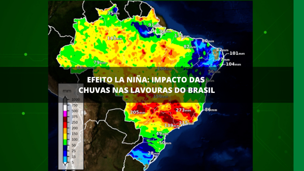 Impacto das chuvas nas lavouras