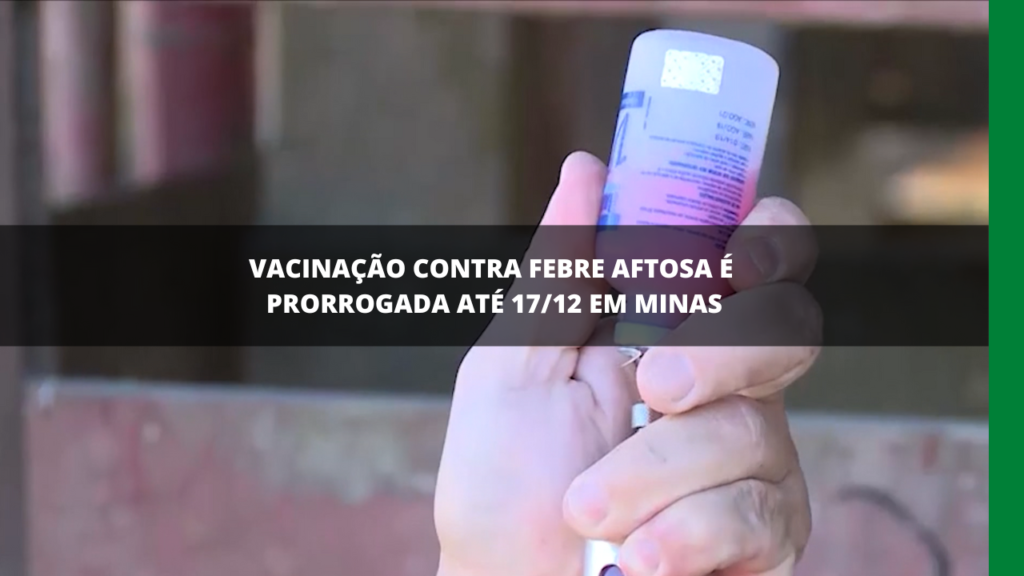 Vacinação contra a febre aftosa