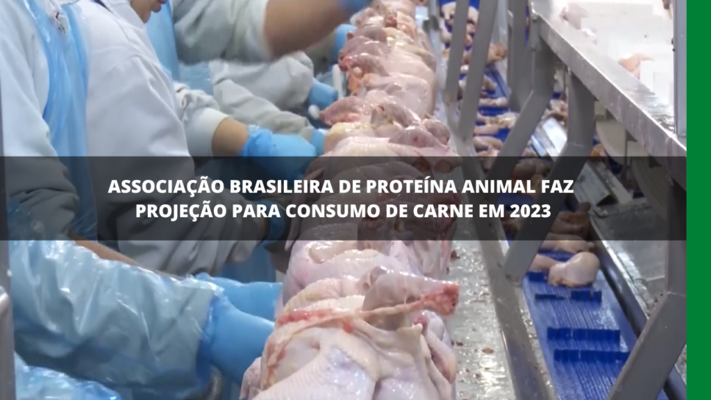 Mercado brasileiro de proteína animal