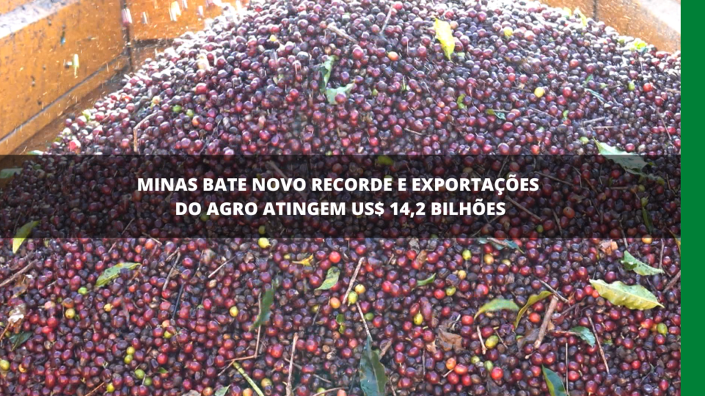 Exportações mineiras