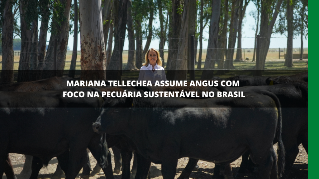 Associação Brasileira de Angus