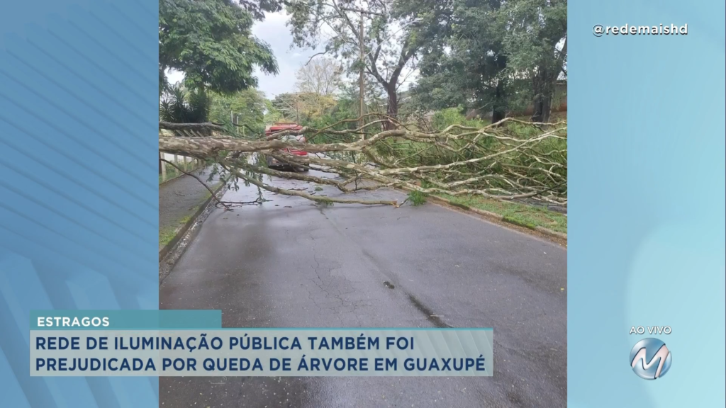 Por causa da chuva: árvore cai e obstrui ruas em Guaxupé