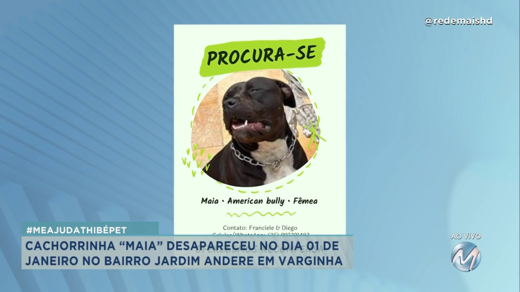 #meajudathibépet: “Maia” desapareceu no 1º dia do ano em Varginha