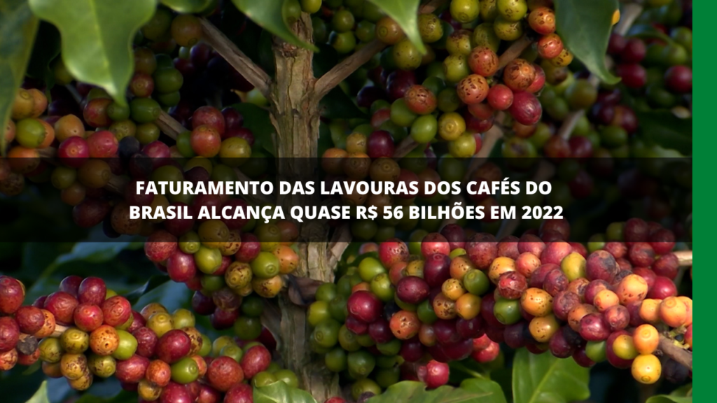 FATURAMENTO DAS LAVOURAS DE CAFÉ