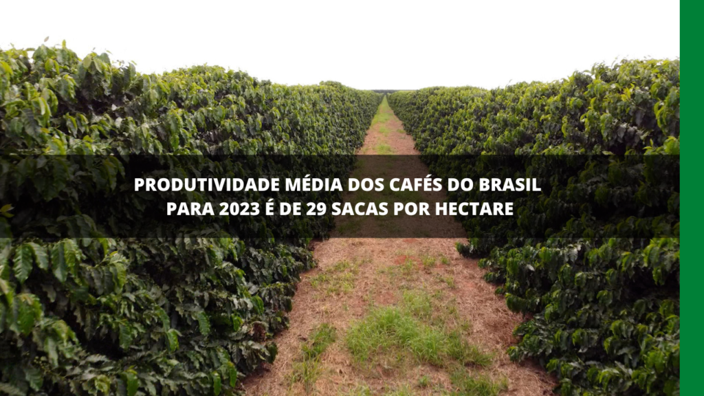 PRODUTIVIDADE DOS CAFÉS