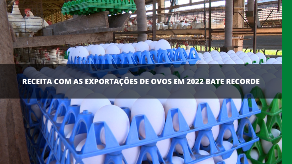 EXPORTAÇÕES DE OVOS DO BRASIL