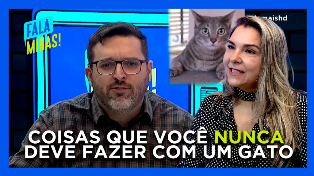 PRIMEIRO ASSUNTO: COISAS QUE VOCÊ NUNCA DEVE FAZER COM UM GATO