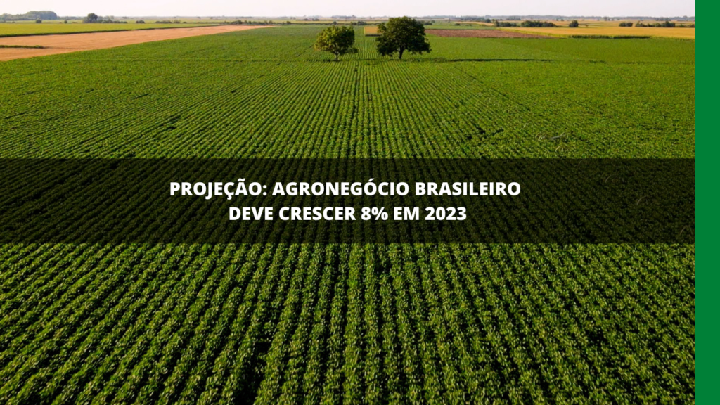 AGRO BRASILEIRO DEVE CRESCER