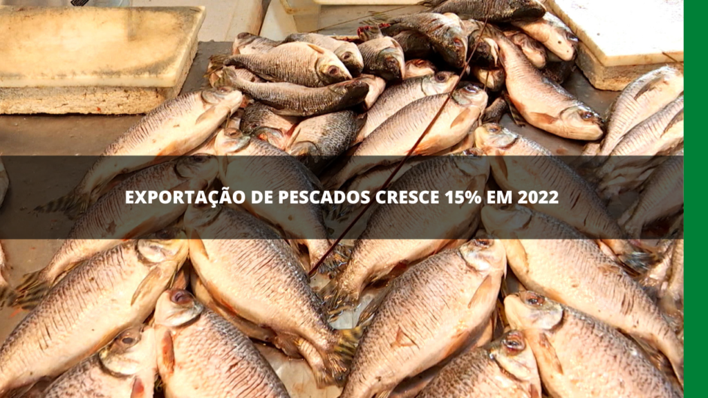 EXPORTAÇÃO DE PESCADOS DO BRASIL