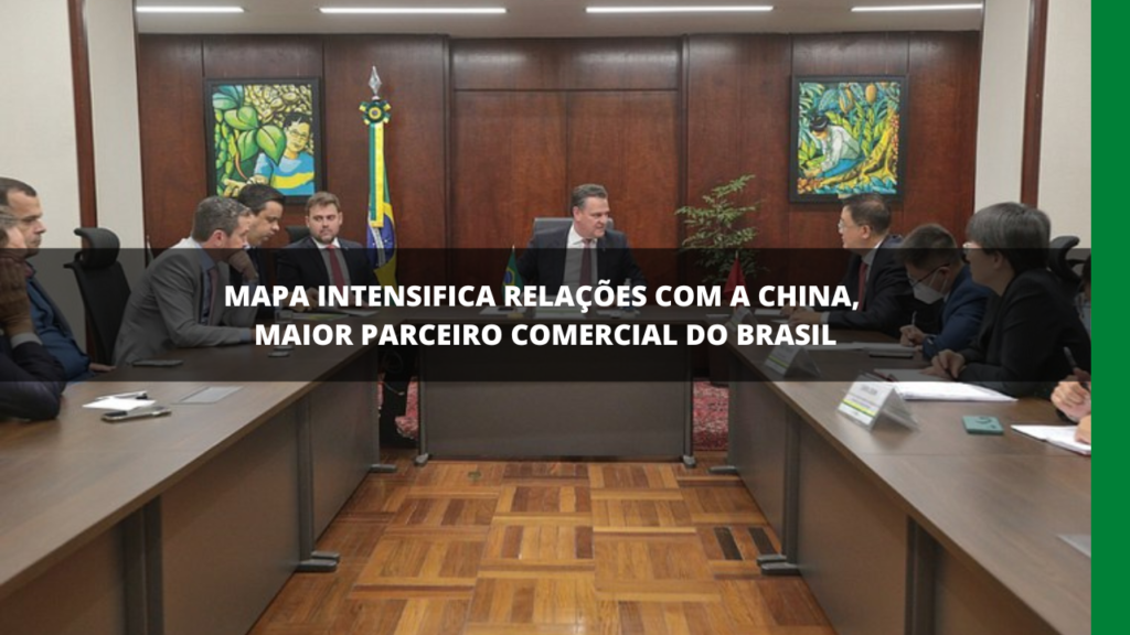 PARCERIA ENTRE BRASIL E CHINA