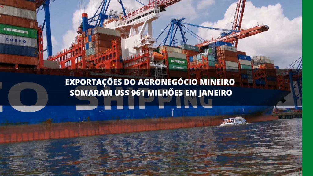 AGRONEGÓCIO MINEIRO