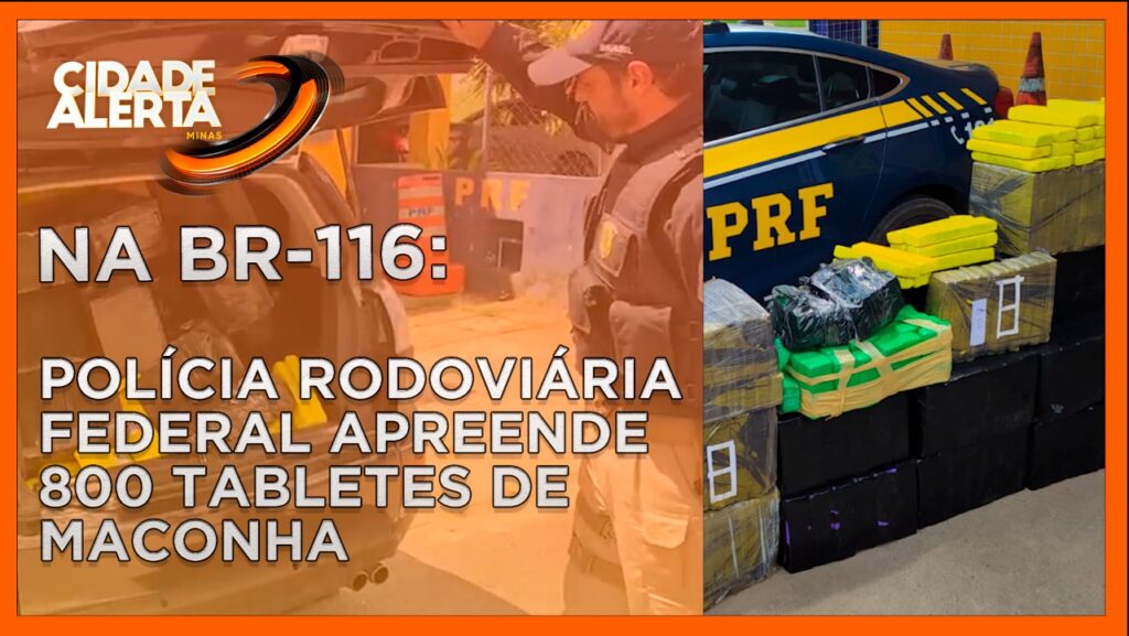 NA BR-116: POLÍCIA RODOVIÁRIA FEDERAL APREENDE 800 TABLETES DE MACONHA