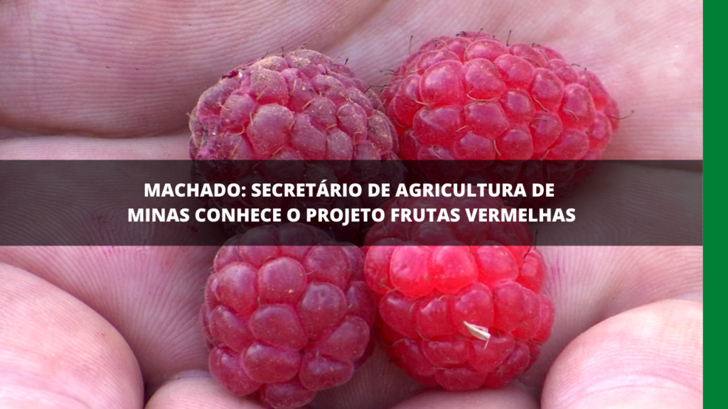 SECRETÁRIO DE AGRICULTURA DE MINAS VISITA MACHADO