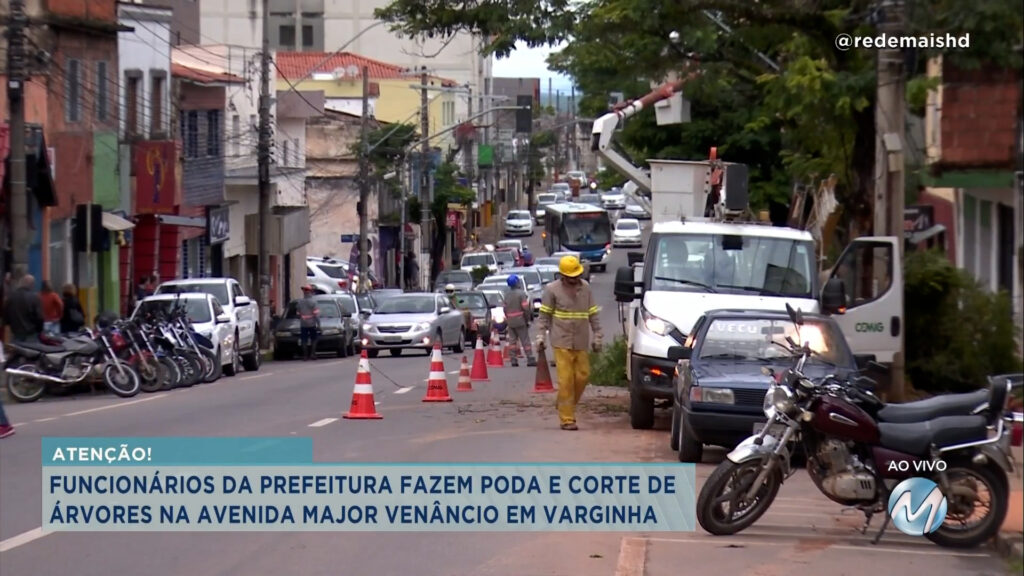 FUNCIONÁRIOS DA PREFEITURA FAZEM PODA E CORTE DE ÁRVORES NA AVENIDA MAJOR VENÂNCIO EM VARGINHA