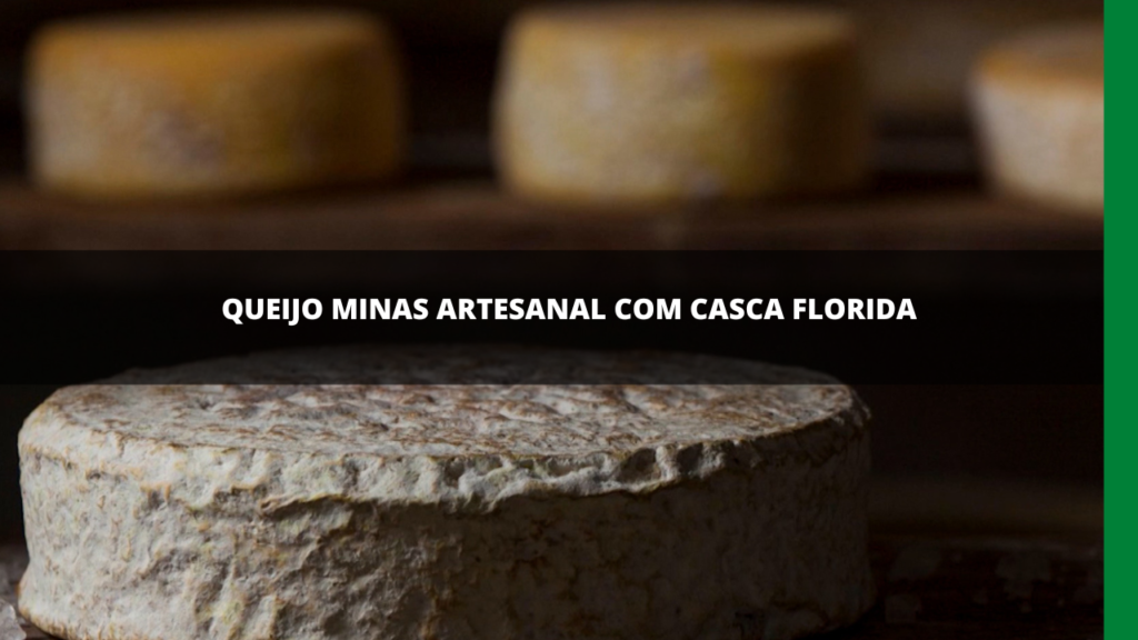 QUEIJO MINAS ARTESANAL COM CASCA FLORIDA