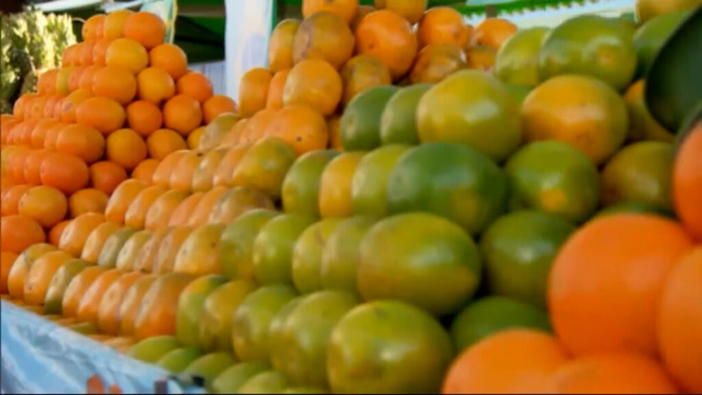 SAFRA DA LARANJA É ENCERRADA EM SP E MG