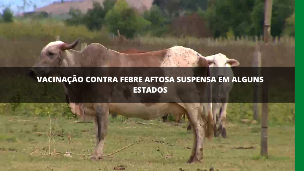 PROÍBE VACINAÇÃO FEBRE AFTOSA