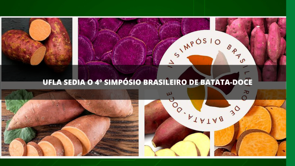 4º SIMPÓSIO BRASILEIRO DE BATATA-DOCE