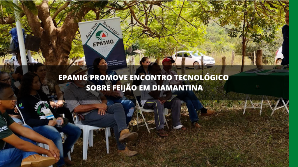 EPAMIG PROMOVE ENCONTRO TECNOLÓGICO SOBRE FEIJÃO