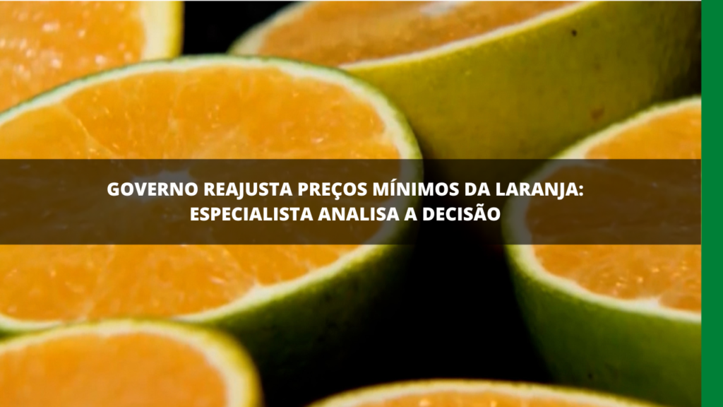 ESPECIALISTA ANALISA OS REAJUSTES DOS PREÇOS MÍNIMOS DA LARANJA