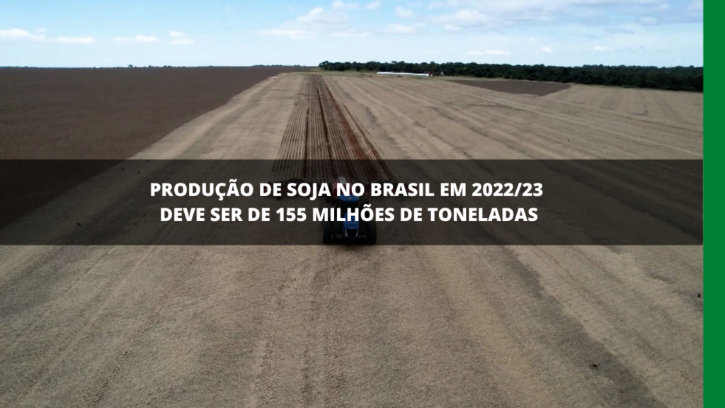 PRODUÇÃO DE SOJA NO BRASIL PROMETE BONS NÚMEROS