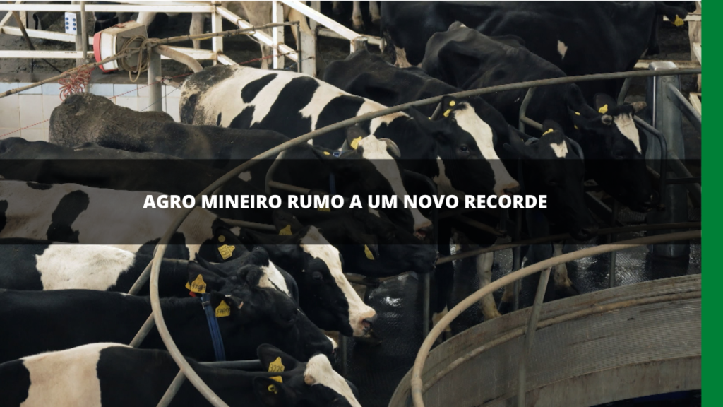 AGRO MINEIRO RUMO A UM NOVO RECORDE