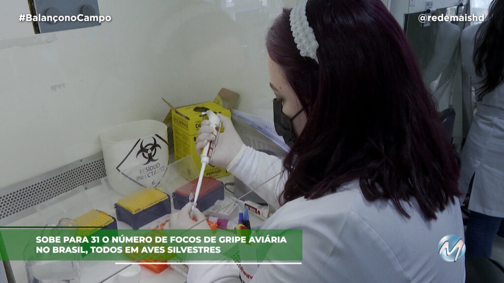 MAIS CASOS DE GRIPE AVIÁRIA NO BRASIL