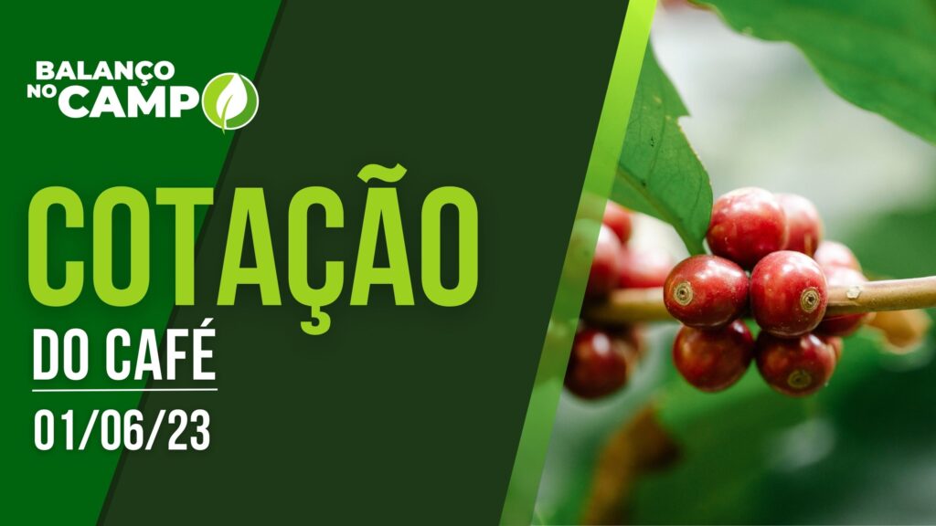 COTAÇÃO DO CAFÉ – 01/06/23