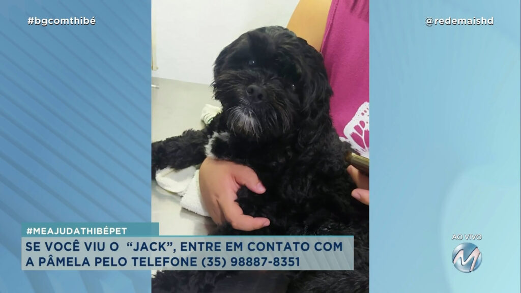 #MEAJUDATHIBÉPET: CACHORRO “JACK” SUMIU EM VARGINHA