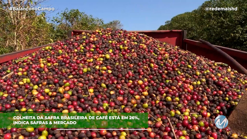 Colheita de café do Brasil