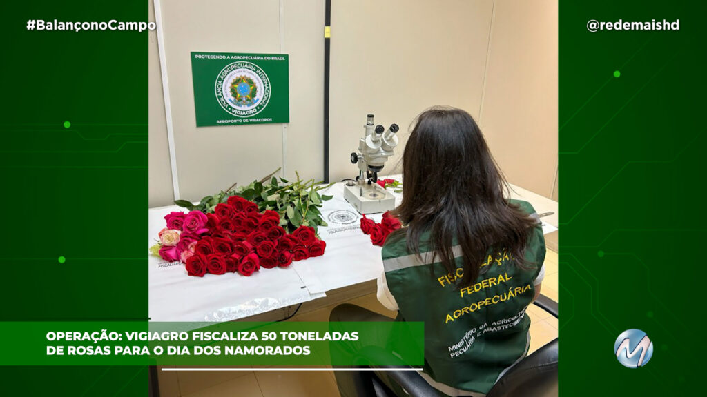 DIA DOS NAMORADOS: ROSAS COLOMBIANAS SÃO FISCALIZADAS