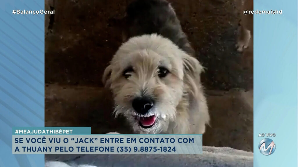 #MEAJUDATHIBÉPET: CÃO “JACK” SUMIU EM VARGINHA