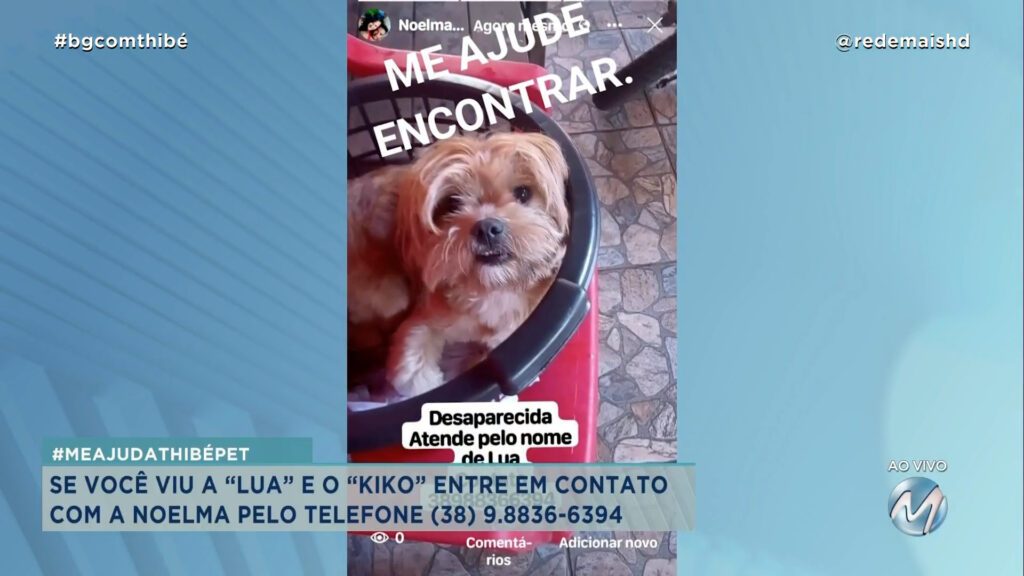 #MEAJUDATHIBÉPET: CÃES “LUA” E “KIKO” SUMIRAM EM MONTES CLAROS