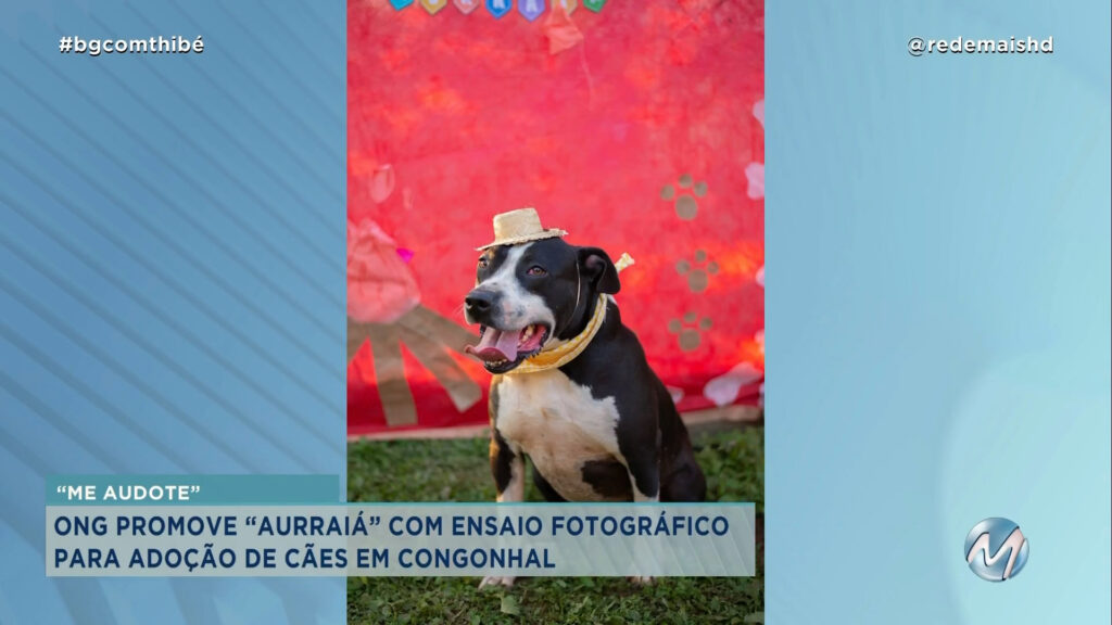 ONG FAZ “AURRAIÁ” PARA ADOÇÃO DE CÃES EM CONGONHAL