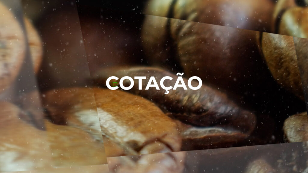 COTAÇÃO DO CAFÉ – 26/07/2023