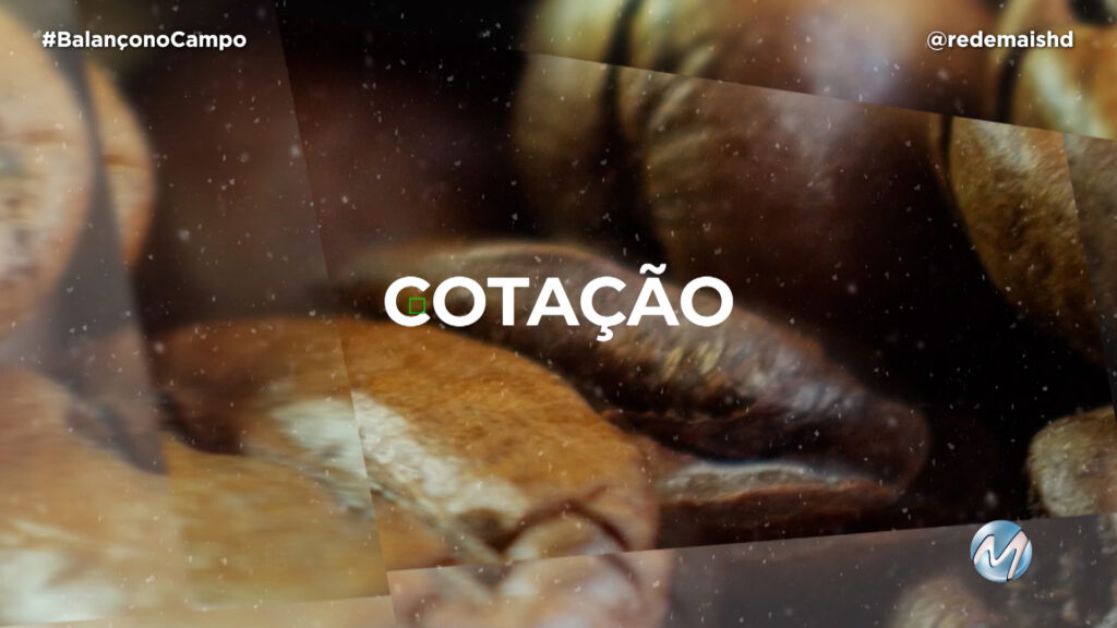 COTAÇÃO DO CAFÉ – 05/07/23