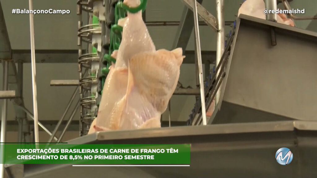 EXPORTAÇÕES DE CARNE DE FRANGO REGISTRAM AUMENTO