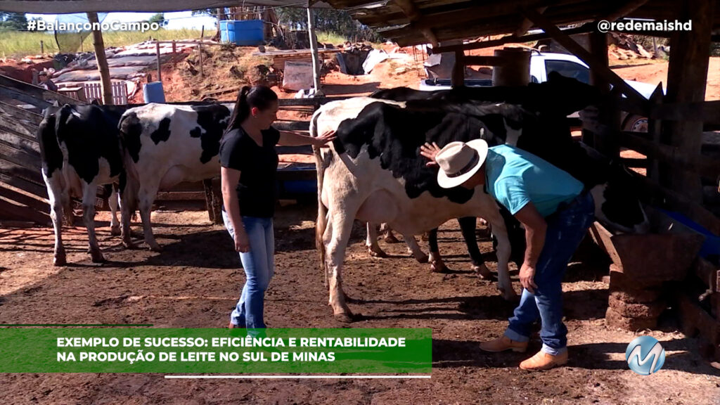 PRODUTOR DE LEITE É EXEMPLO DE SUCESSO NO SUL DE MINAS