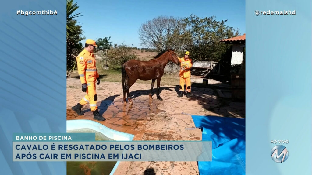 CAVALO É RESGATADO PELOS BOMBEIROS APÓS CAIR EM PISCINA EM IJACI