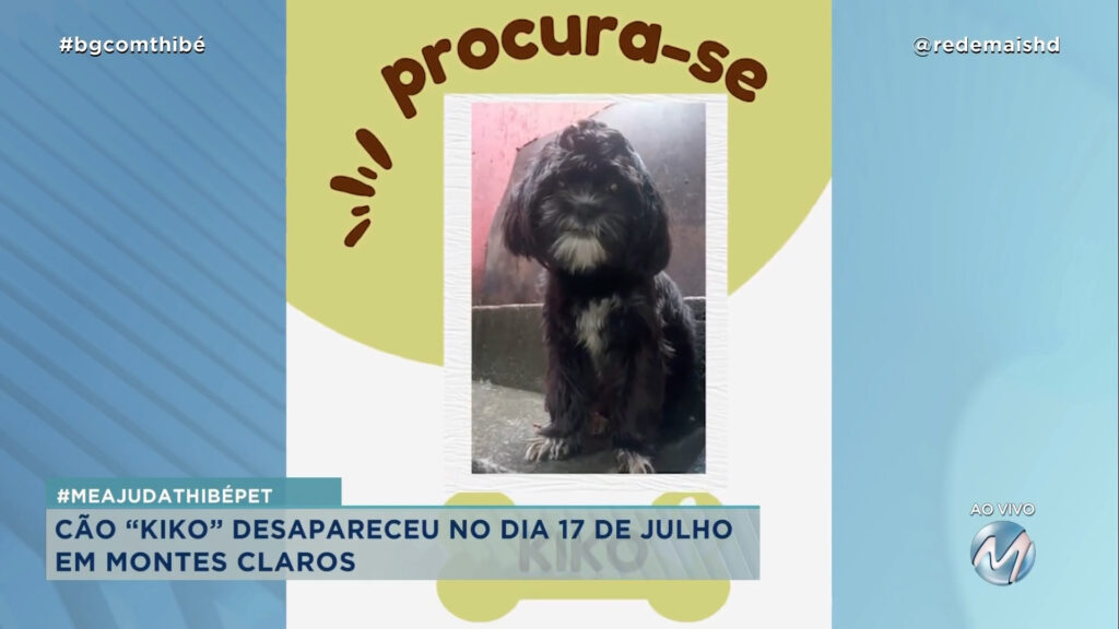 #MEAJUDATHIBÉPET: CÃO “KIKO” DESAPARECEU EM MONTES CLAROS