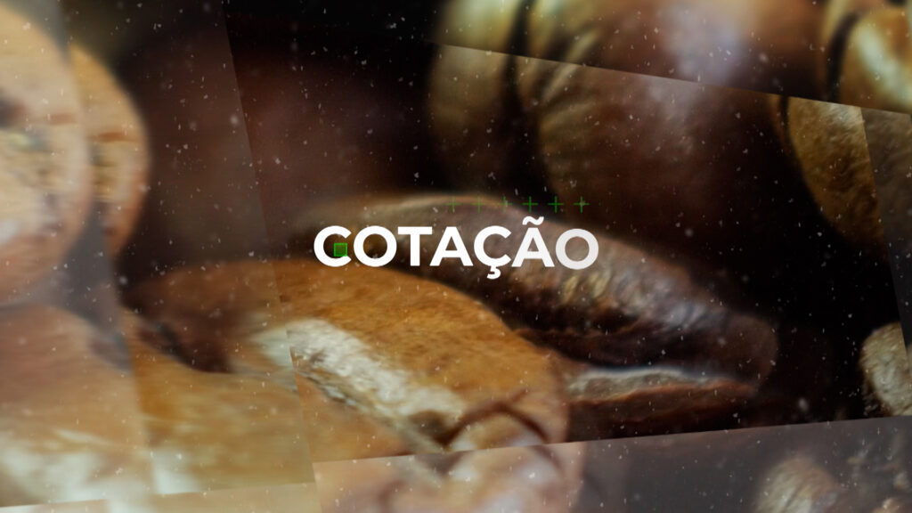 COTAÇÃO DO CAFÉ – 14/08/23