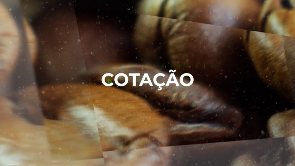 COTAÇÃO DO CAFÉ – 25/08/23