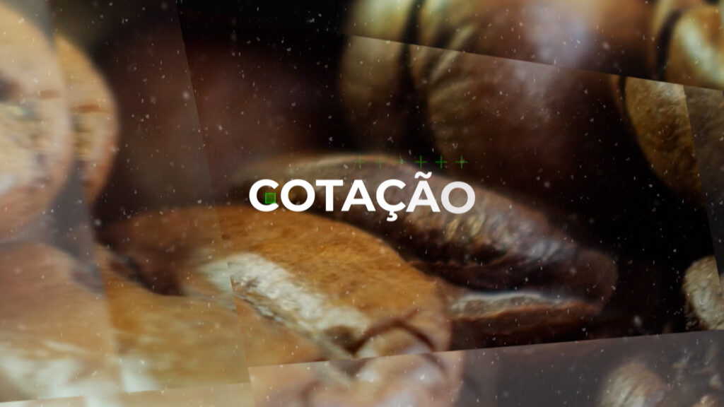 COTAÇÃO DO CAFÉ – 16/08/23