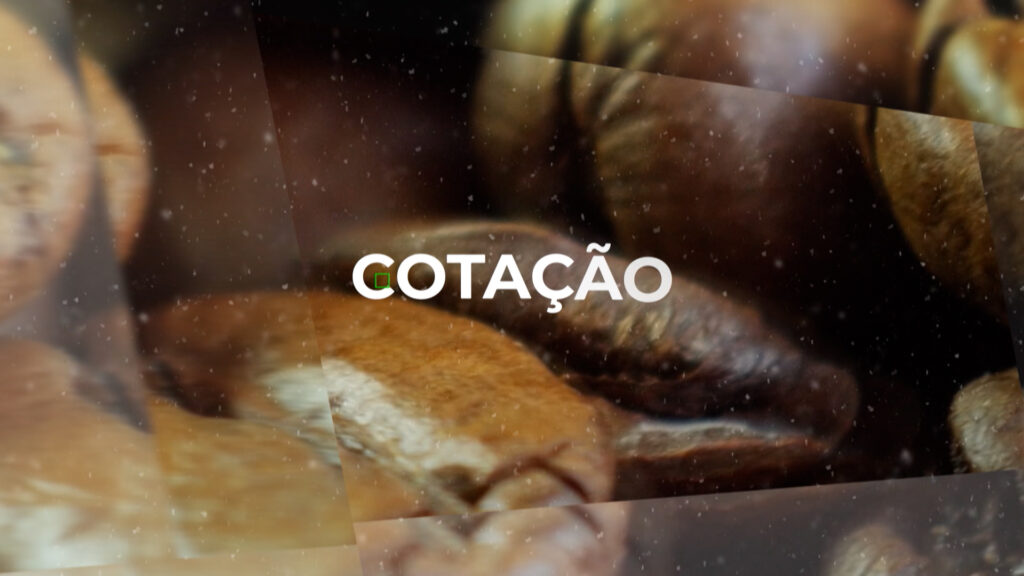 COTAÇÃO DO CAFÉ – 24/08/23